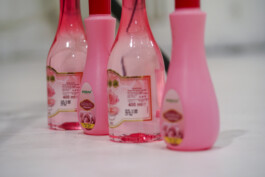  Isabel Gatzke Dramaturgy Dramaturgie