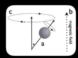 Isabel Gatzke Dramaturgy Dramaturgie