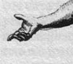 Isabel Gatzke Dramaturgy Dramaturgie